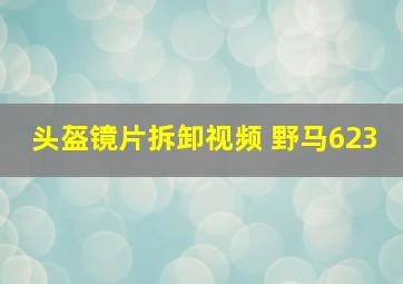 头盔镜片拆卸视频 野马623